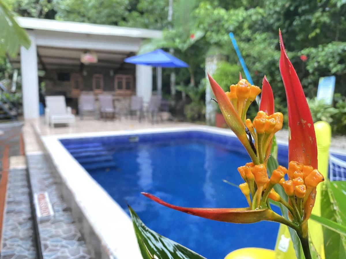 La Posada Jungle Hotel Manuel Antonio Dış mekan fotoğraf