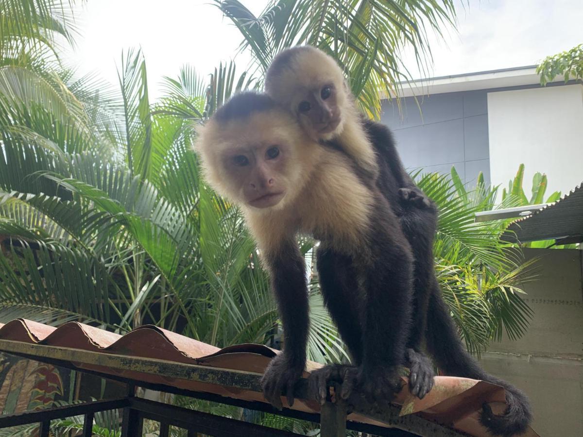 La Posada Jungle Hotel Manuel Antonio Dış mekan fotoğraf