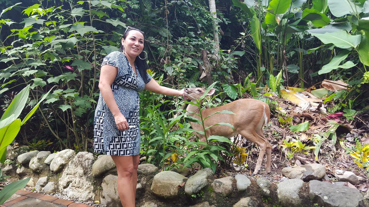 La Posada Jungle Hotel Manuel Antonio Dış mekan fotoğraf